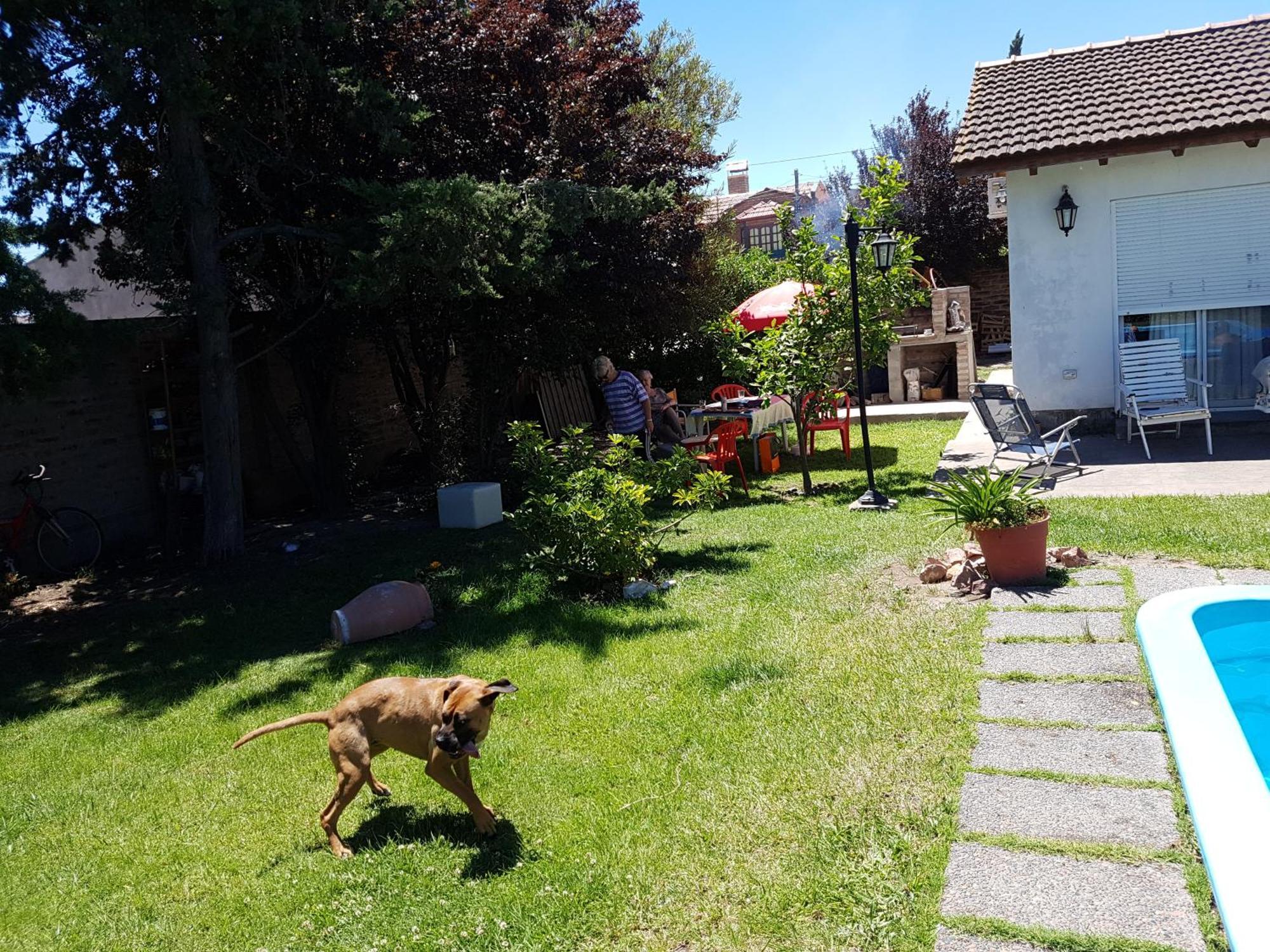 Apartamento Casa Con Pileta 
